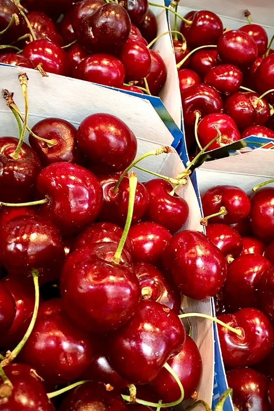 The Best Time to Enjoy Fresh Cherries in Michigan