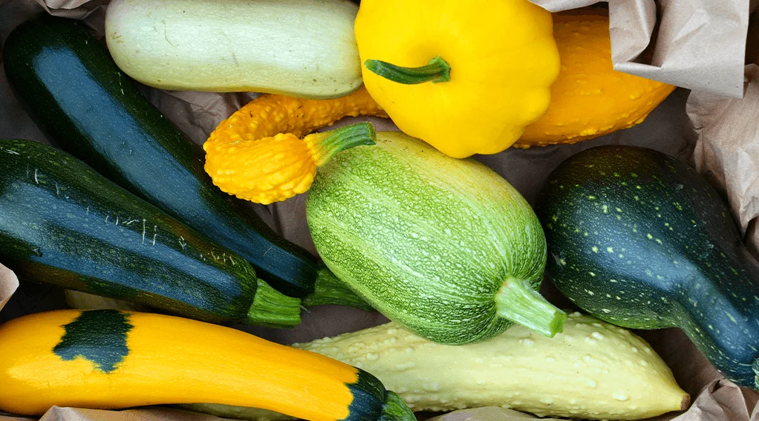 The Best Time to Harvest Yellow Squash from Your Garden