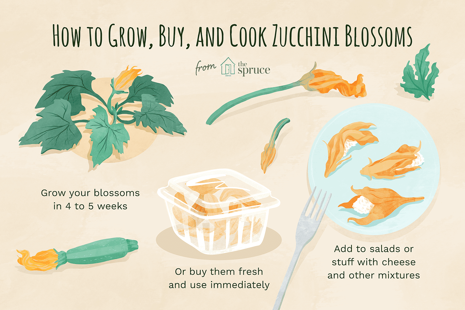 The Best Time to Pick Zucchini Flowers The Best Time to Pick Zucchini Flowers