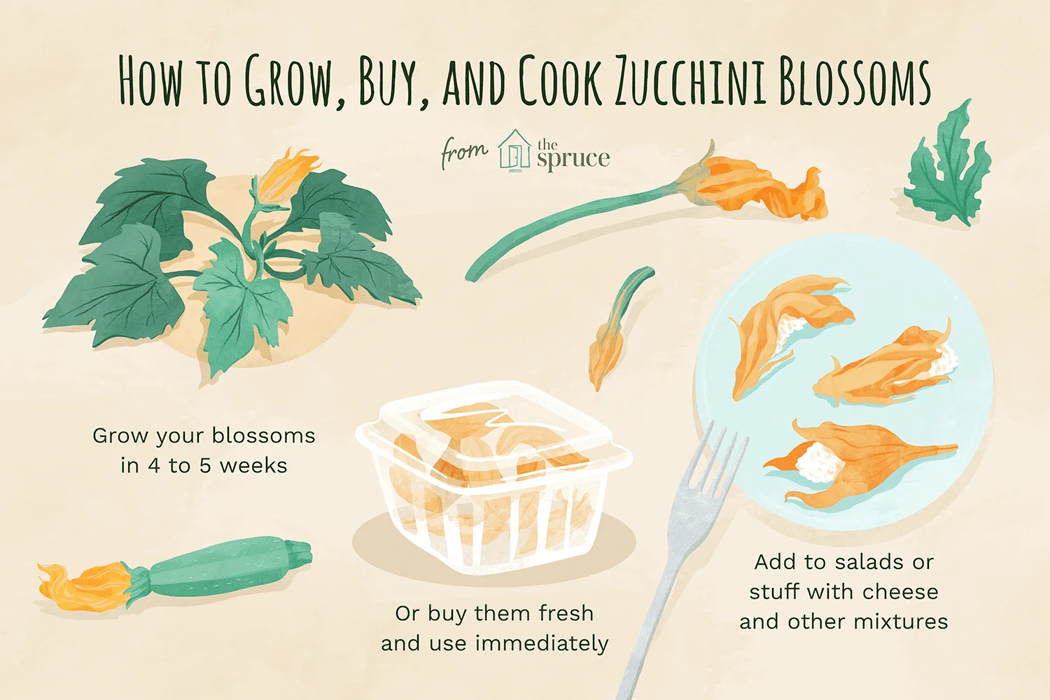 The Best Time to Pick Zucchini Flowers