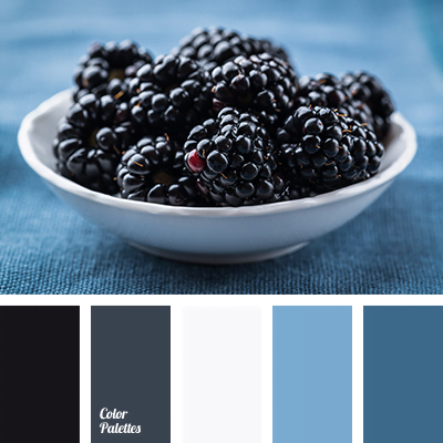 The Color of Blackberries The Color of Blackberries