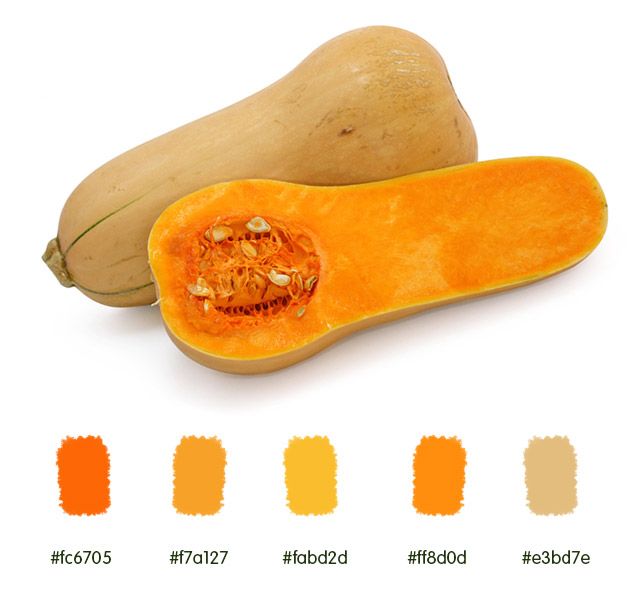 The Color of Butternut Squash The Color of Butternut Squash