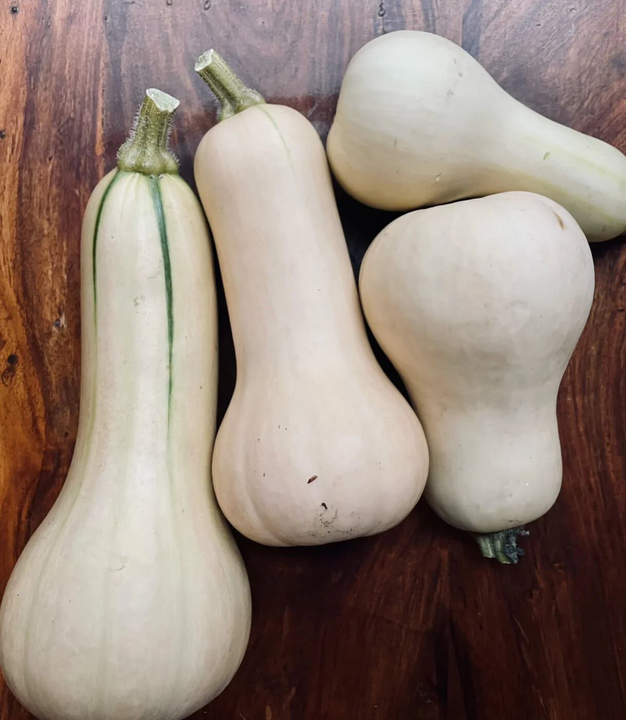 The Color of Butternut Squash