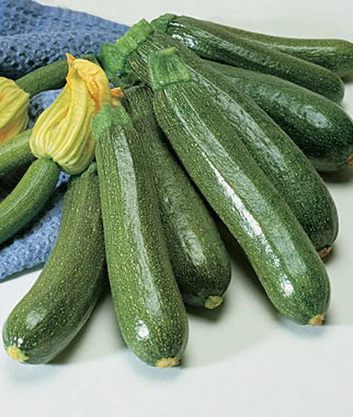 The Color of Zucchini: A Guide to Identifying Different Shades