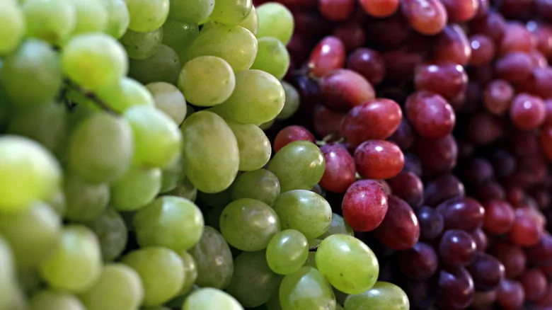 The Colors of Grapes