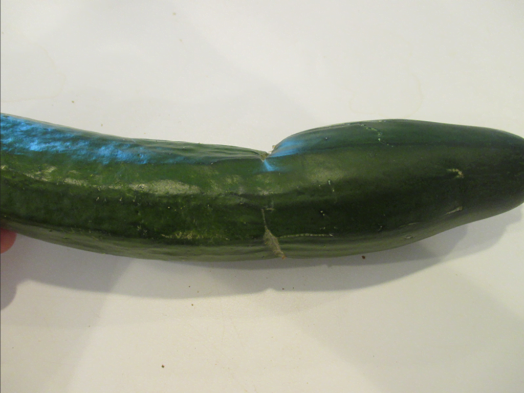 The Curious Case of Curved Cucumbers