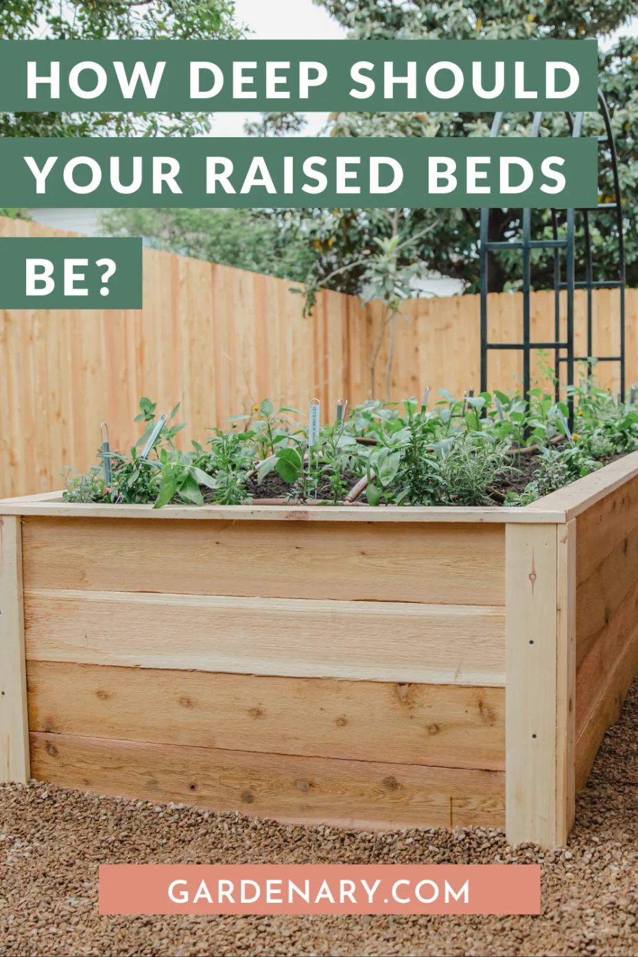 How Deep Should A Raised Garden Bed Be For Zucchini? GreenThumbsGuide
