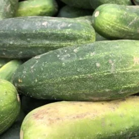 The Mystery of Cucumber Bumps