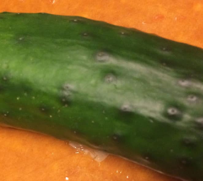 The Mystery of Cucumber Bumps The Mystery of Cucumber Bumps