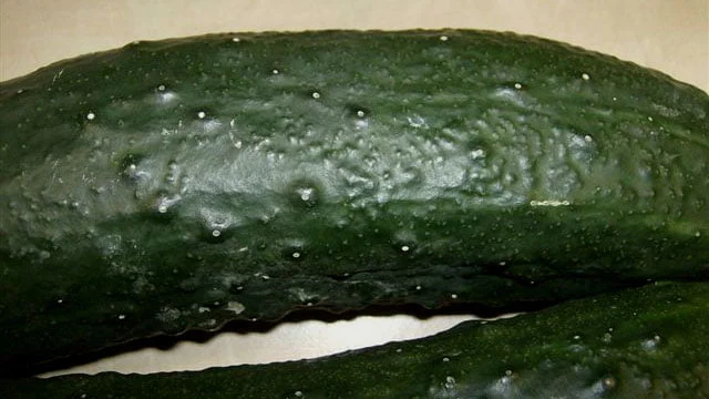The Mystery of Cucumber Bumps