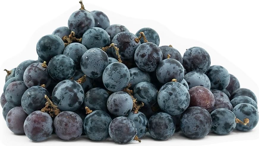 The Mystery of the Disappearing Concord Grapes