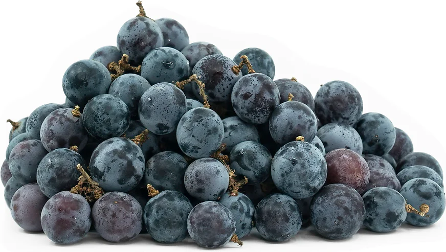 The Mystery of the Disappearing Concord Grapes