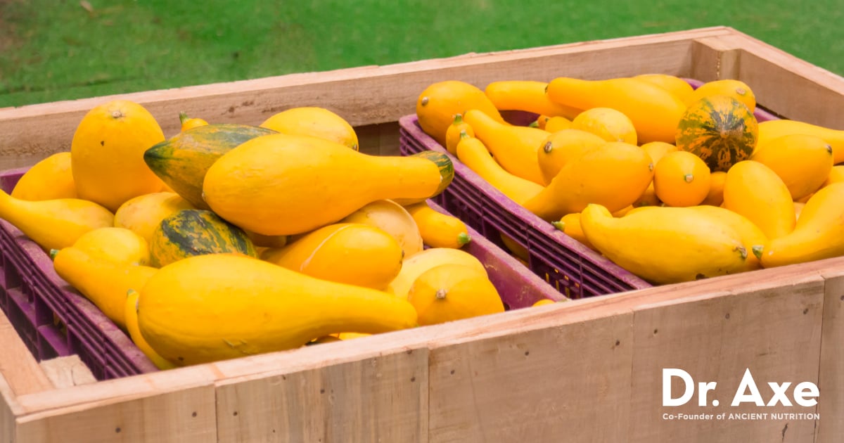 The Protein Content of Yellow Squash