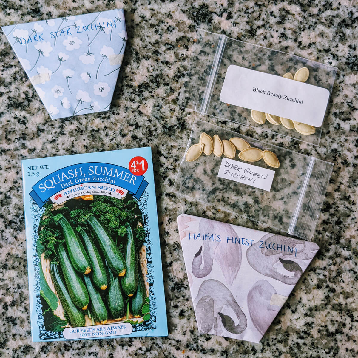 The Recommended Number of Zucchini Seeds Per Hole The Recommended Number of Zucchini Seeds Per Hole