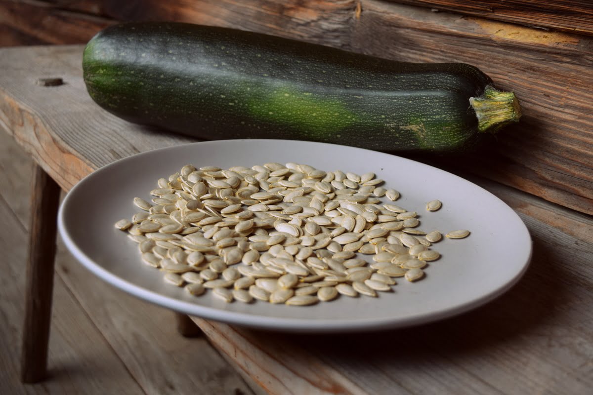 The Recommended Number of Zucchini Seeds Per Hole The Recommended Number of Zucchini Seeds Per Hole