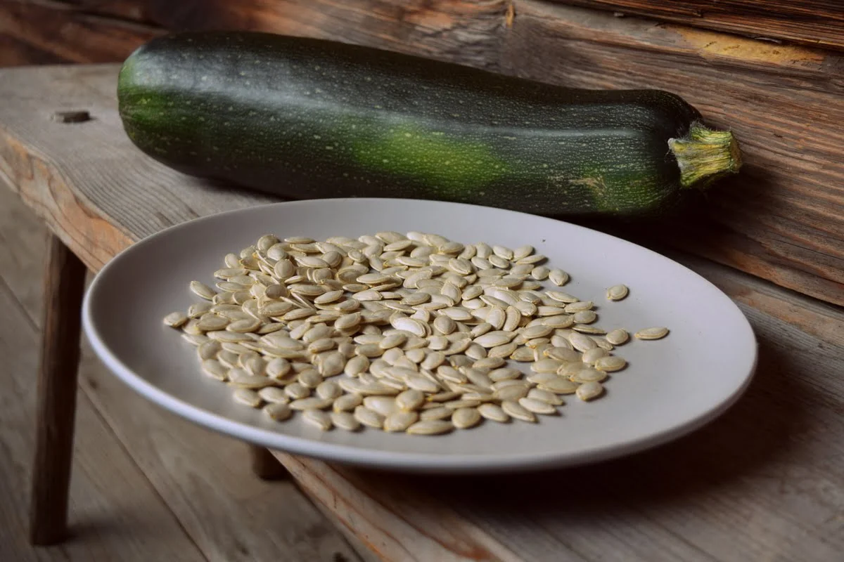 The Recommended Number of Zucchini Seeds Per Hole