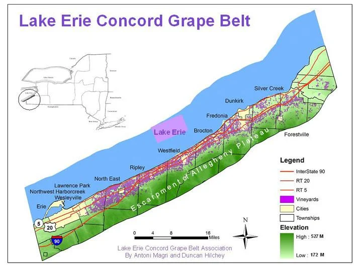 The Region for Growing Concord Grapes