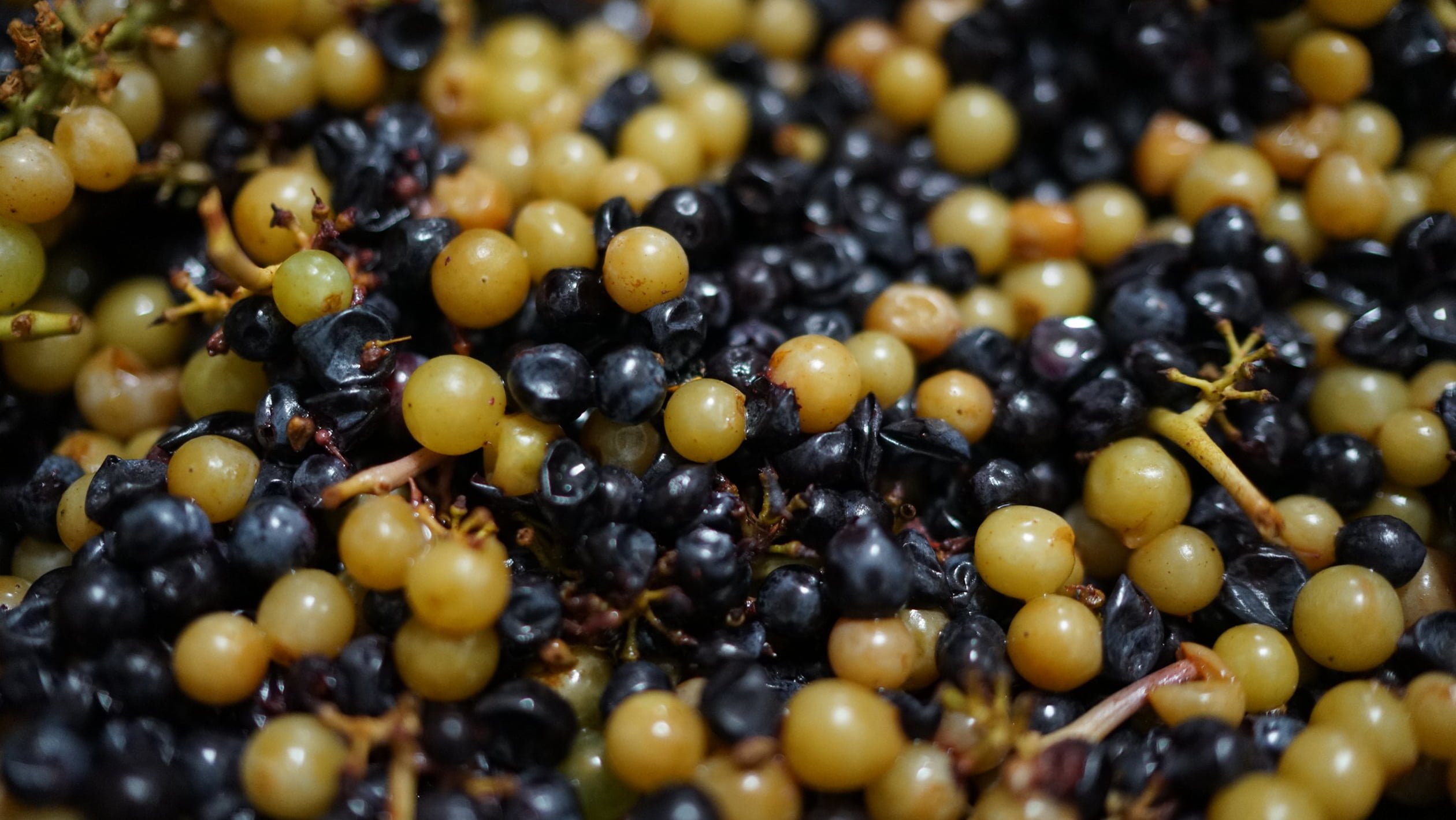 The Science Behind Grape to Wine Ratio