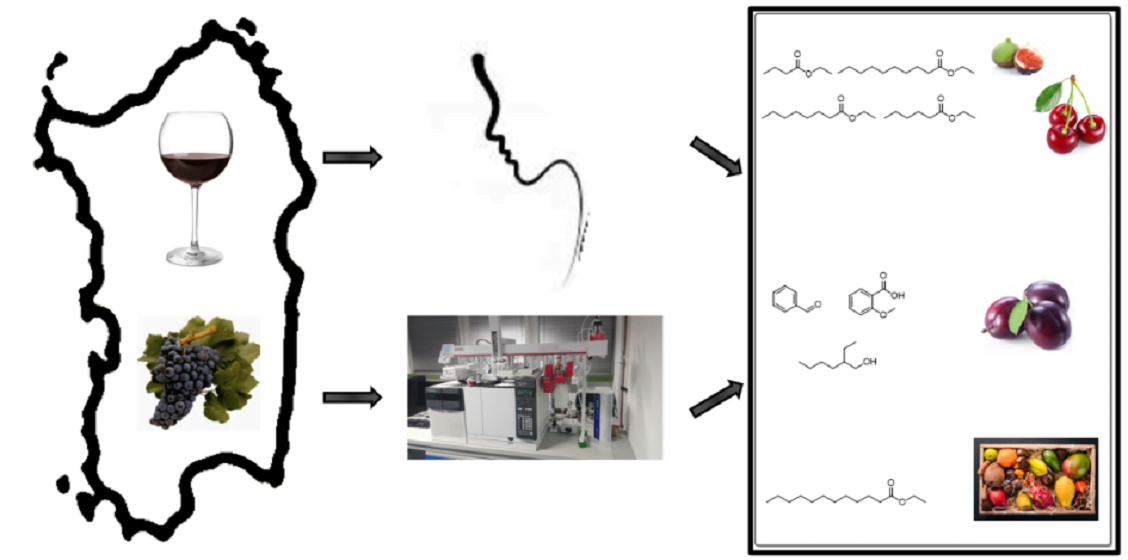 The Science Behind Grape to Wine Ratio