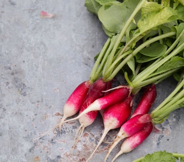 The Science Behind Spicy Radishes