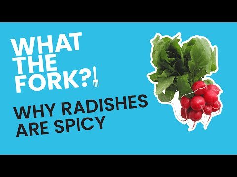 The Science Behind Spicy Radishes