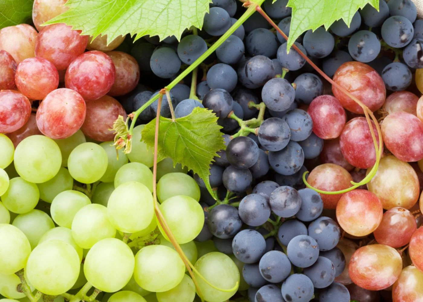 The Seasonality of Green Grapes