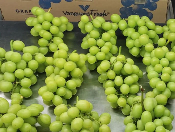 The Seasonality of Green Grapes