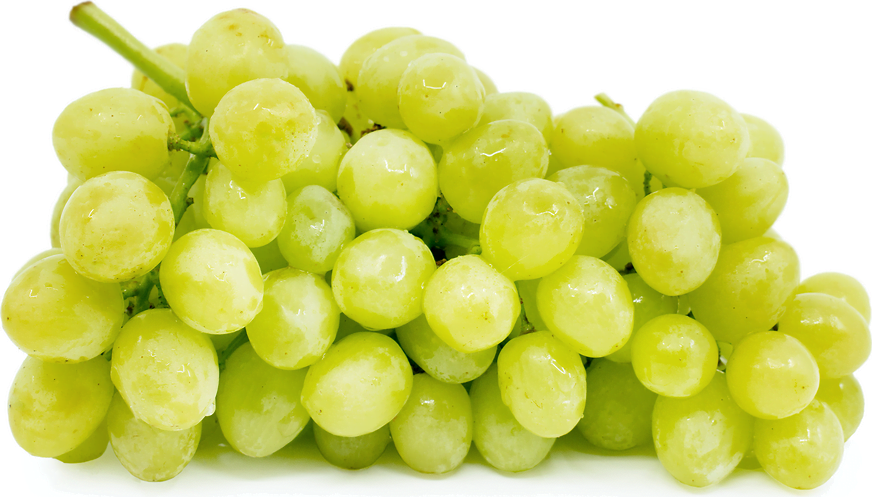 The Seasonality of Green Grapes The Seasonality of Green Grapes