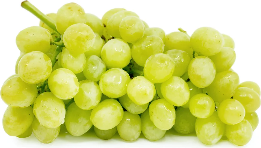 The Seasonality of Green Grapes
