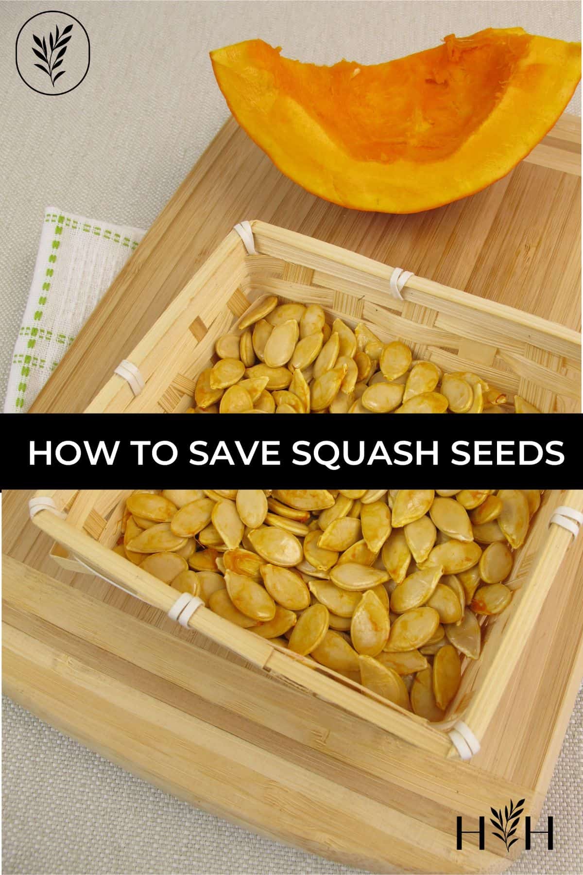 The Secret to Saving Yellow Squash Seeds The Secret to Saving Yellow Squash Seeds