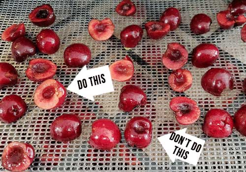 The Ultimate Guide on How to Dry Cherries The Ultimate Guide on How to Dry Cherries