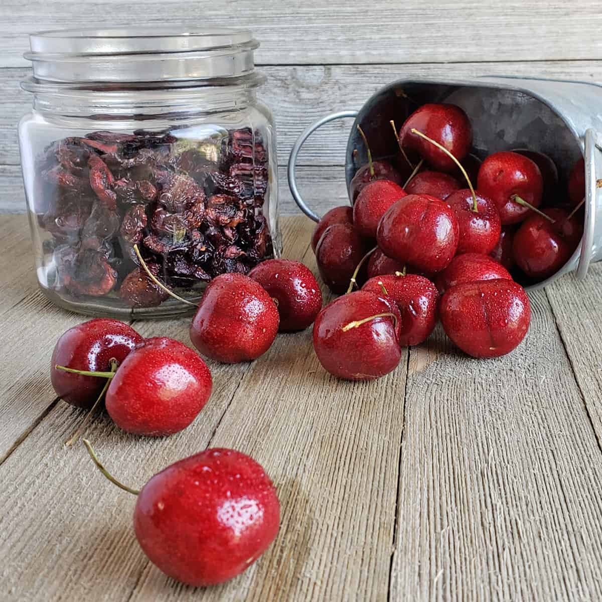 The Ultimate Guide on How to Dry Cherries The Ultimate Guide on How to Dry Cherries