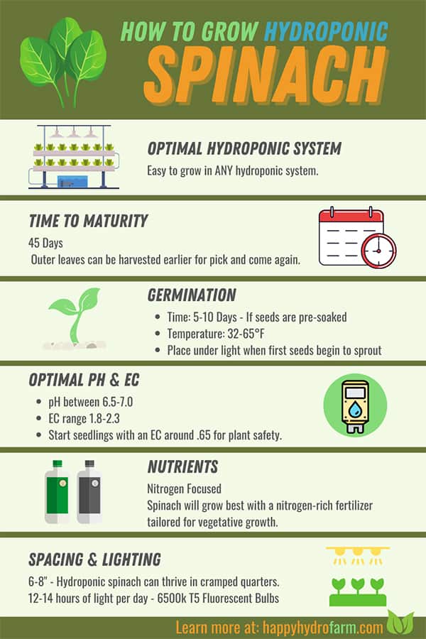 The Ultimate Guide to Growing Hydroponic Spinach The Ultimate Guide to Growing Hydroponic Spinach