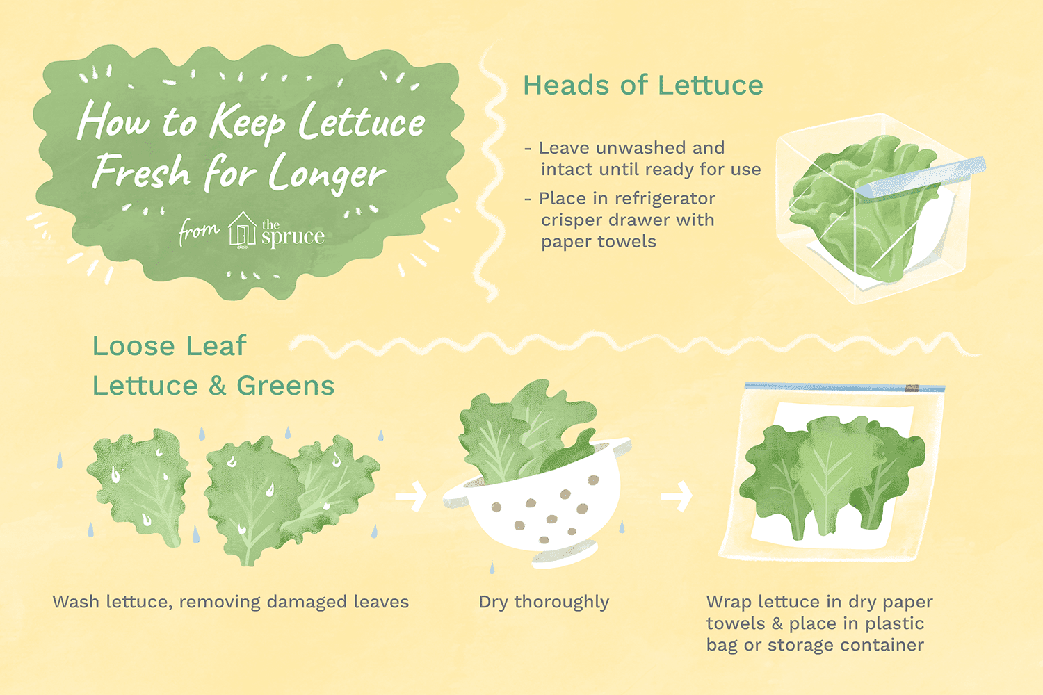 Tips for Properly Storing Hydroponic Lettuce Tips for Properly Storing Hydroponic Lettuce