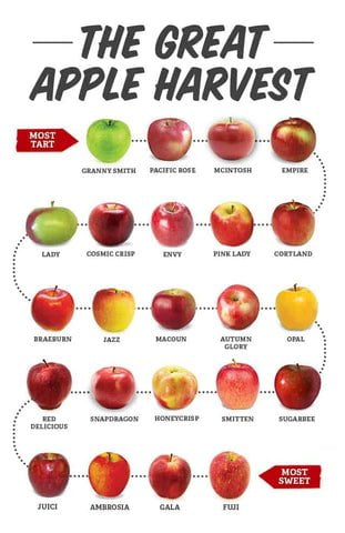 What Apples Are Best For Juicing