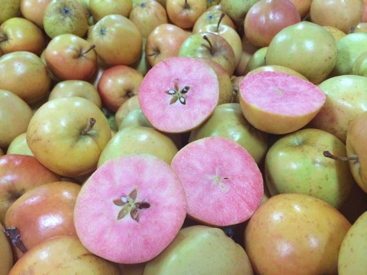 What Apples Are Pink Inside What Apples Are Pink Inside