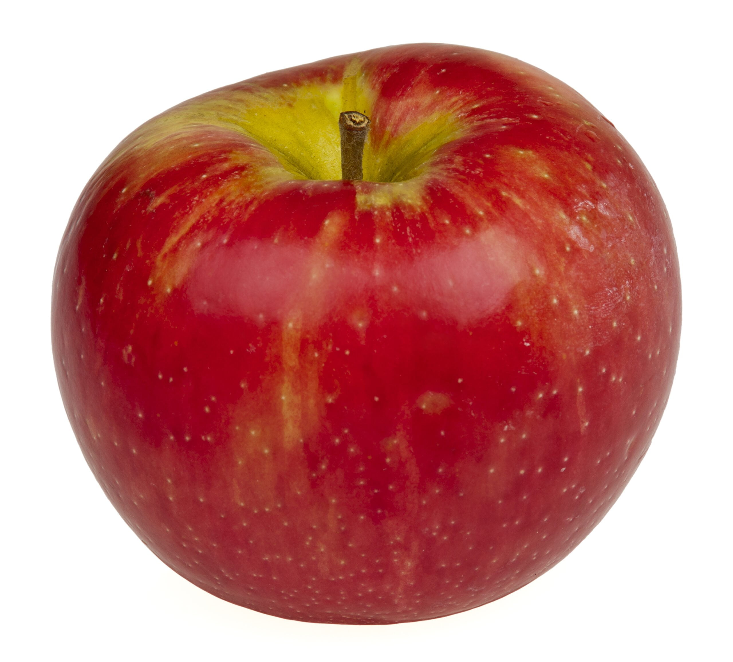 What Apples Are Similar To Honeycrisp What Apples Are Similar To Honeycrisp