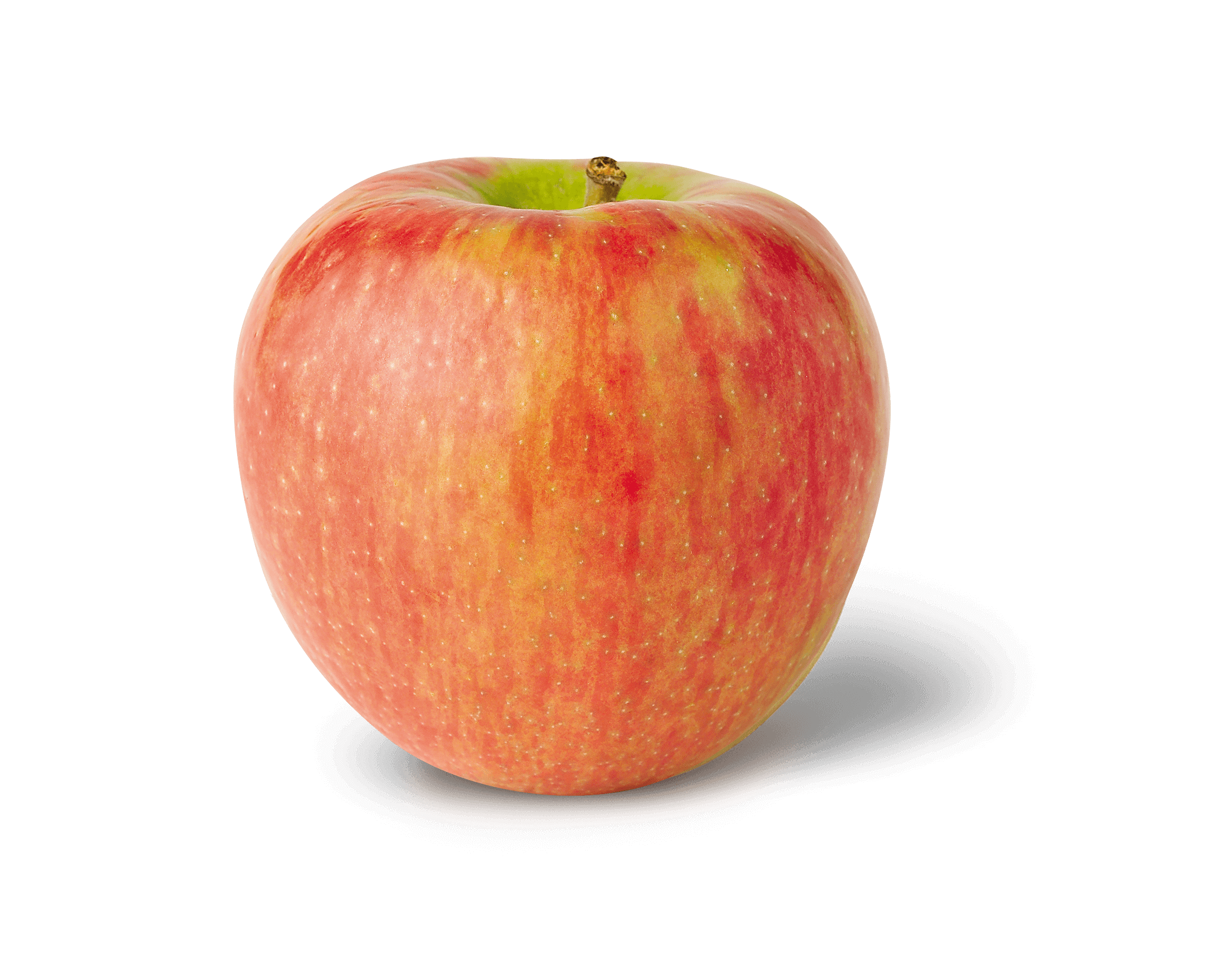 What Apples Are Similar To Honeycrisp What Apples Are Similar To Honeycrisp