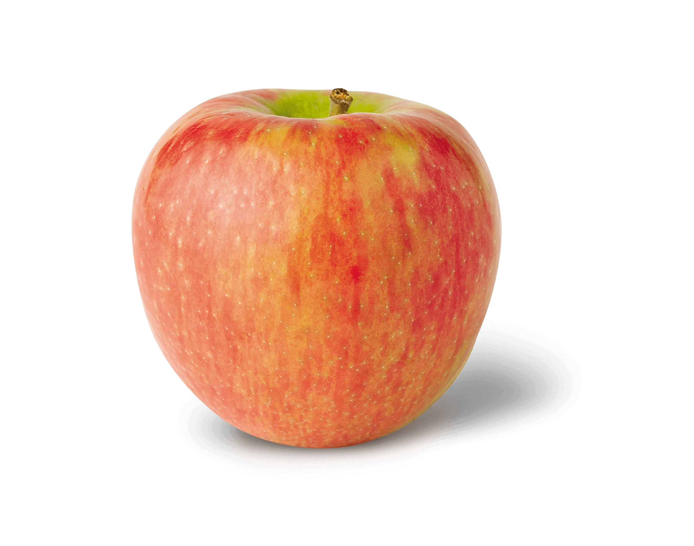 what-apples-are-similar-to-honeycrisp-greenthumbsguide