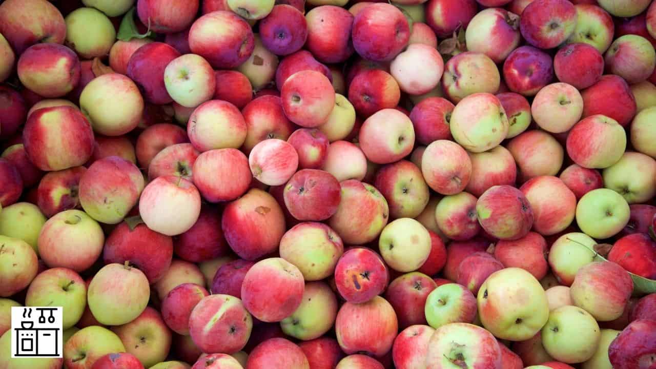 What Apples Are Sour What Apples Are Sour