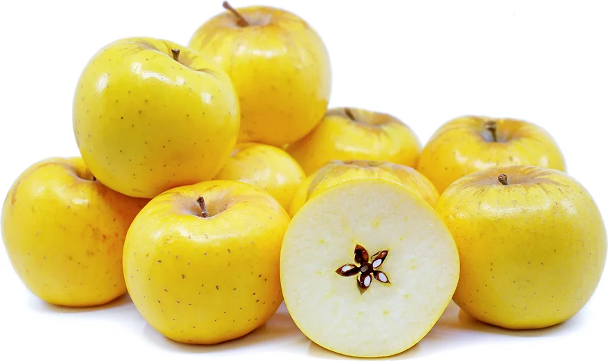 What Are Opal Apples