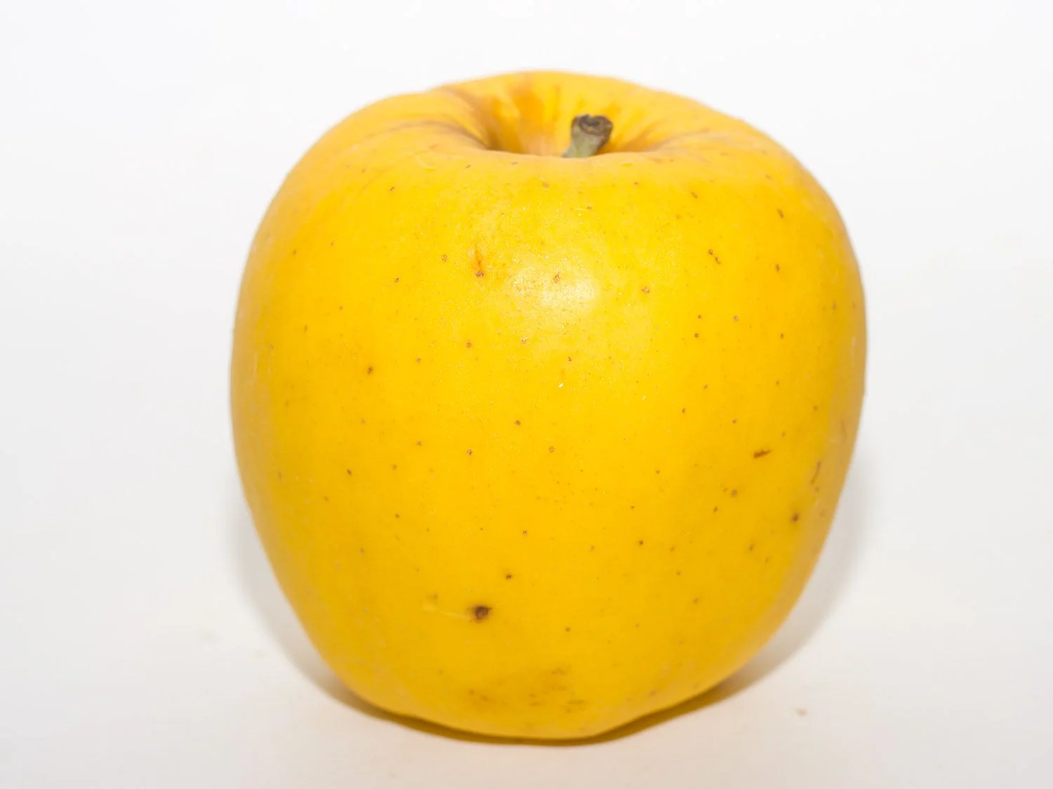 What Are Opal Apples