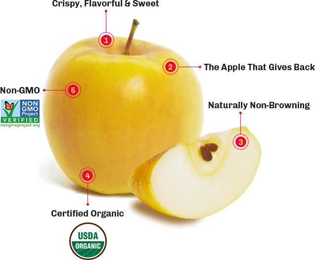 What Are Opal Apples What Are Opal Apples