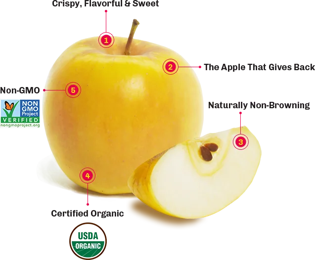 What Are Opal Apples