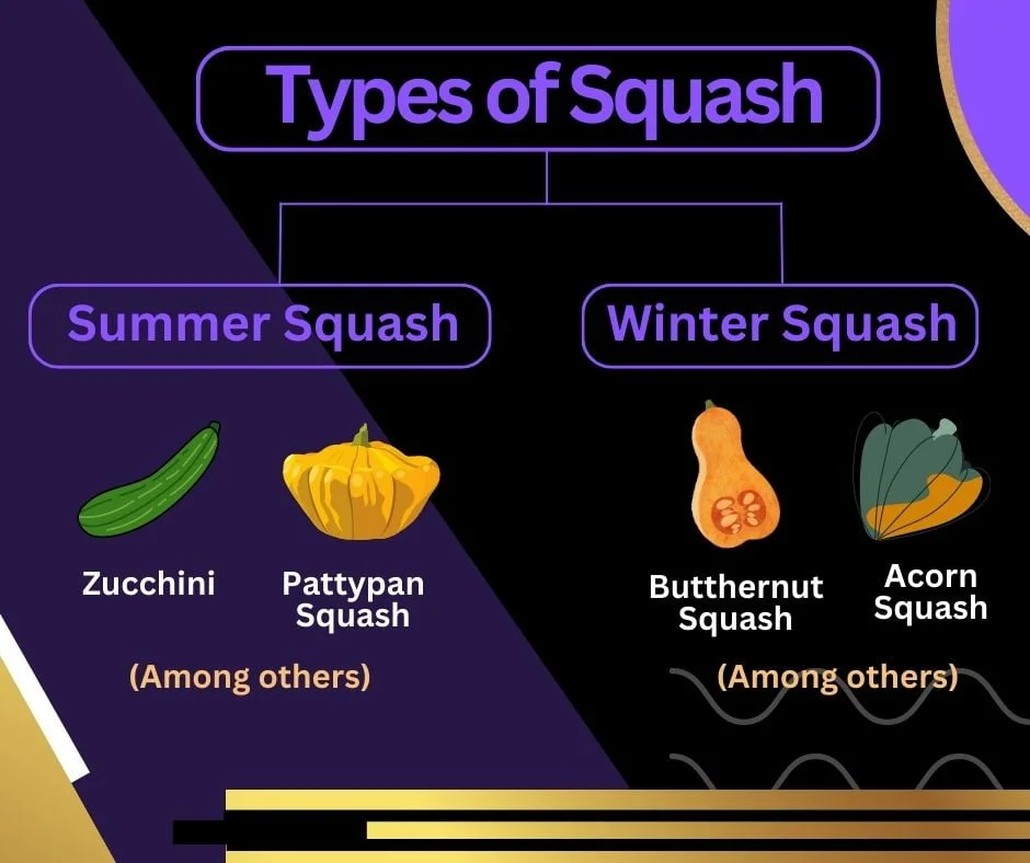 What Are the Differences Between Zucchini and Squash?