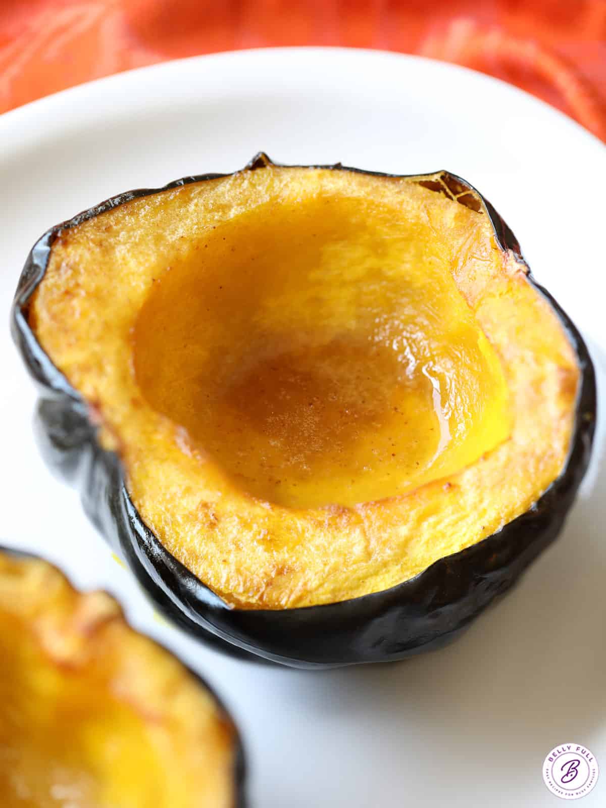 What Does an Acorn Squash Look Like GreenThumbsGuide