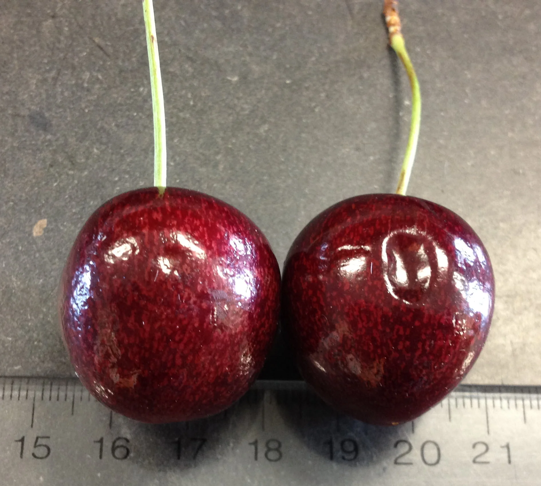 What Does it Mean When Cherries Are Pitted