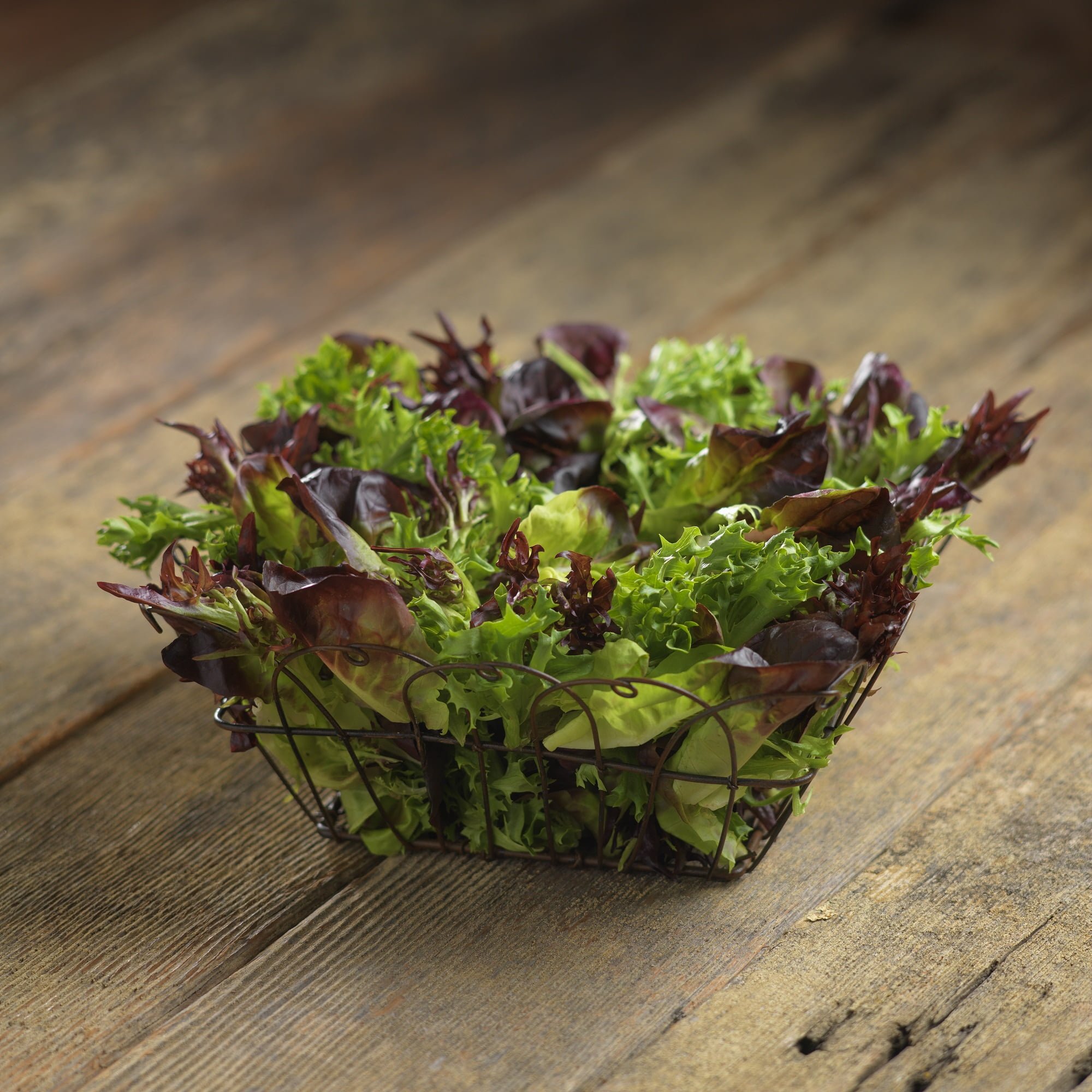 What is Arcadian Lettuce What is Arcadian Lettuce