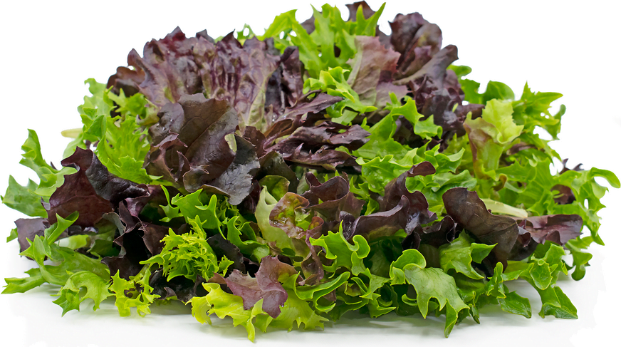 What is Arcadian Lettuce What is Arcadian Lettuce