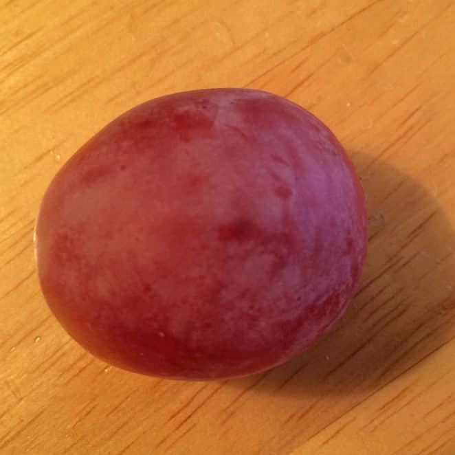 What Is The White Stuff On Grapes What Is The White Stuff On Grapes